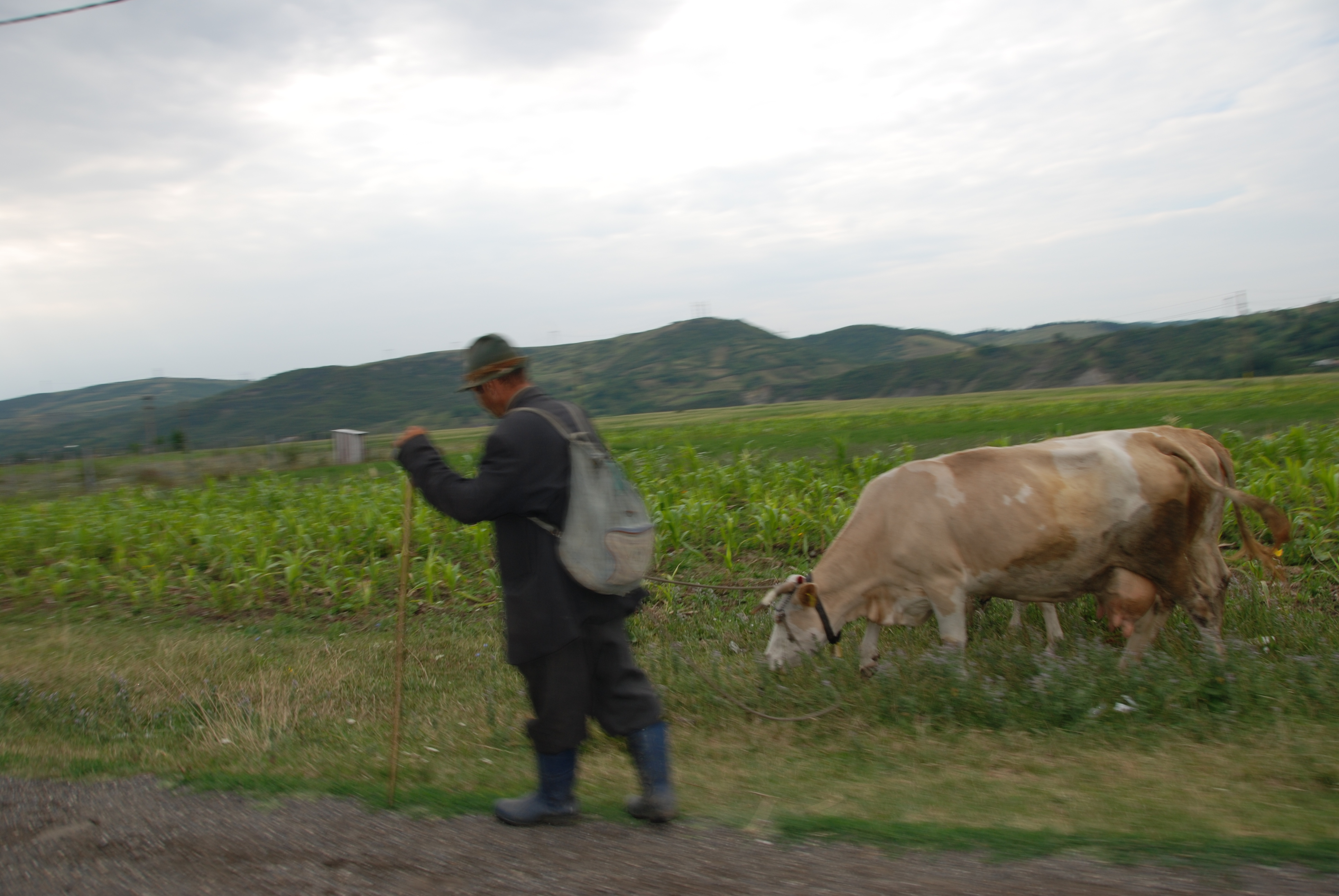 Farmer on Romanian Plains